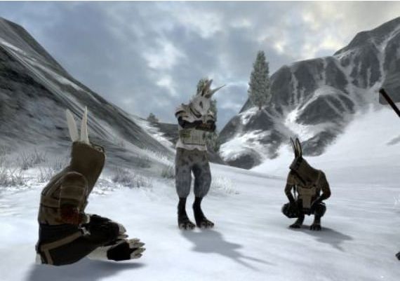 Overgrowth EN Global Steam Digital Key