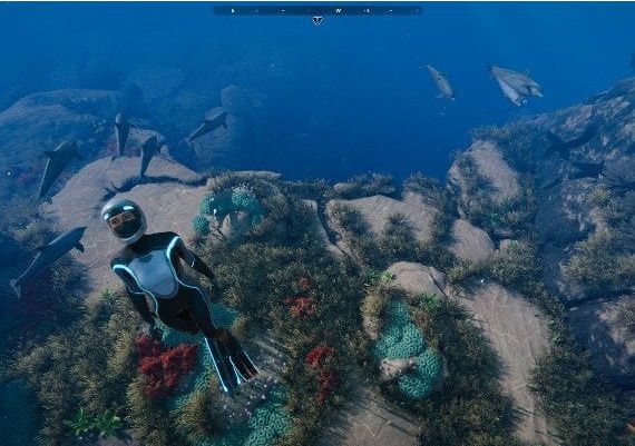 Beyond Blue EU Xbox One/Series Digital Key