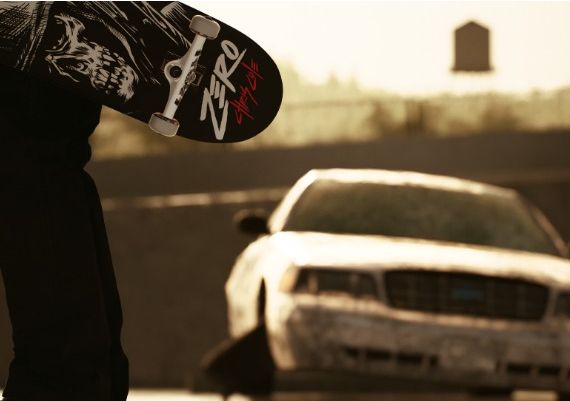 Session: Skate Sim - Waterpark & Chris Cole DLC EN Global Steam Digital Key