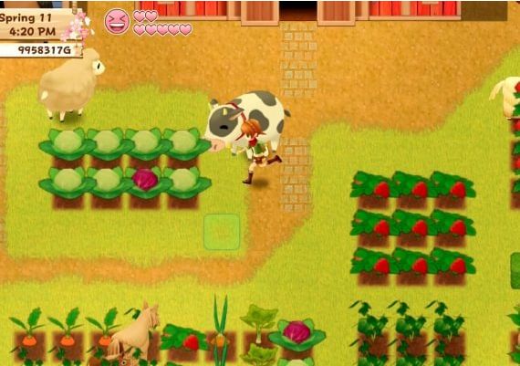 Harvest Moon: Light of Hope Special Edition EN Global Steam Digital Key