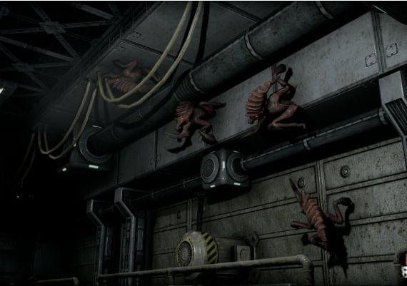 Cargo Breach VR EN Global Steam Digital Key