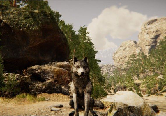 Animal Simulator EN/CS Global Steam Digital Key