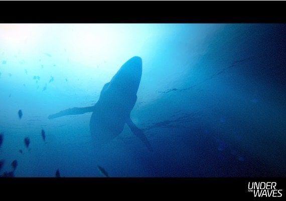 Under The Waves EN EU PS5 Digital Key