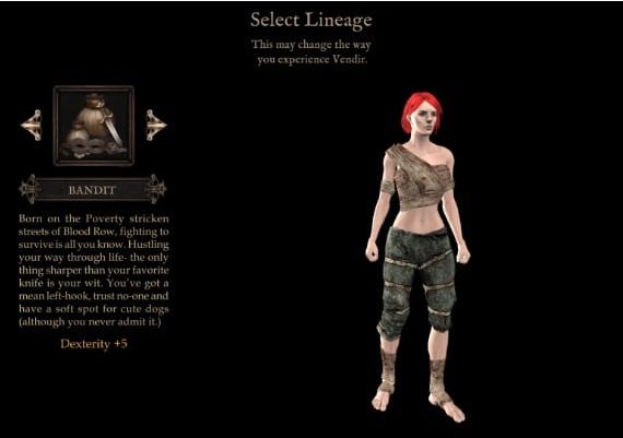 Vendir: Plague of Lies EN EU Steam Digital Key