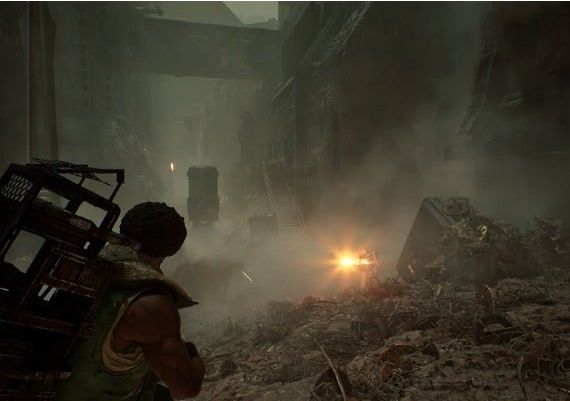 The Forever Winter EN ROW Steam Digital Key