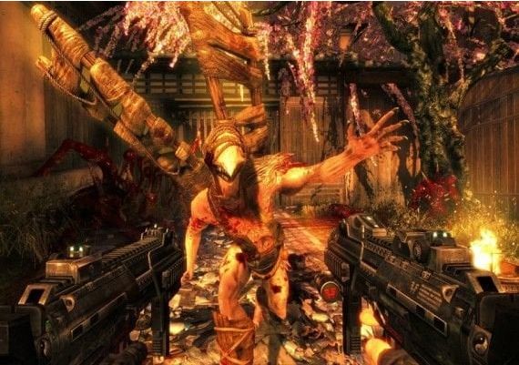 Shadow Warrior EN/DE/FR/IT EU Steam Digital Key