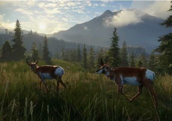 theHunter: Call of the Wild - Silver Ridge Peaks DLC Global Steam Digital Key