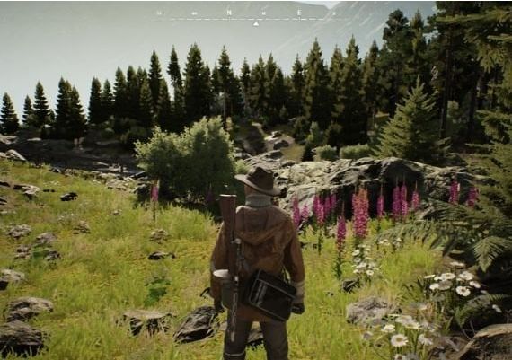 Vigor - Norwegian Woodchuck Pack DLC EN Global Xbox One/Series Digital Key