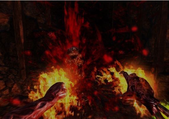 Vapour EN Global Steam Digital Key