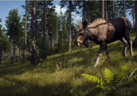 Way of the Hunter Elite Edition EN Argentina Xbox Series Digital Key