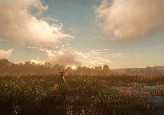 theHunter: Call of the Wild - Mississippi Acres Preserve DLC Global Steam Digital Key