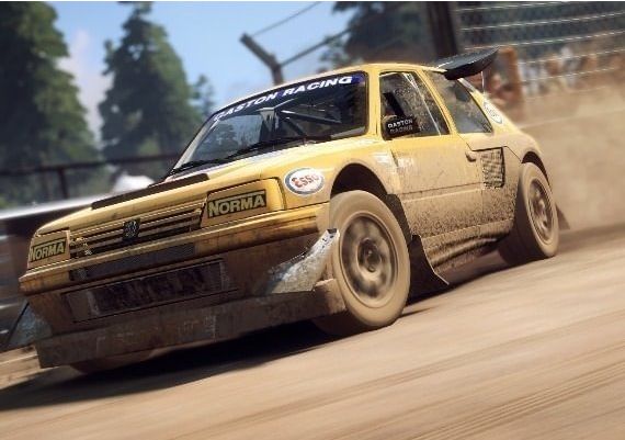 DiRT Rally 2.0 EN/DE/FR/IT/PL/JA/PT/ES EU Steam Digital Key
