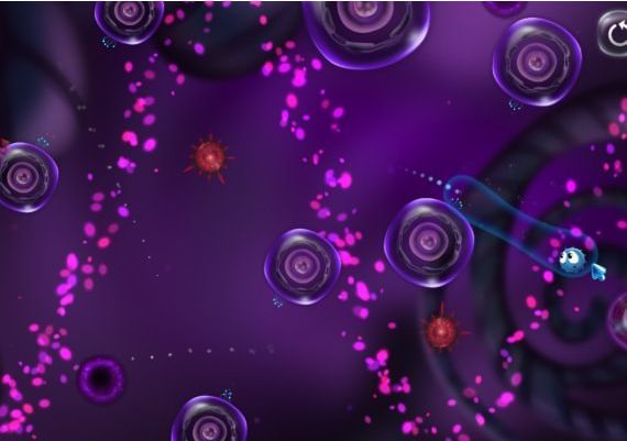 Cyto EN Global Steam Digital Key