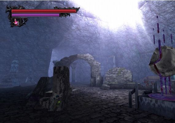 Lunacid EN Global Steam Digital Key