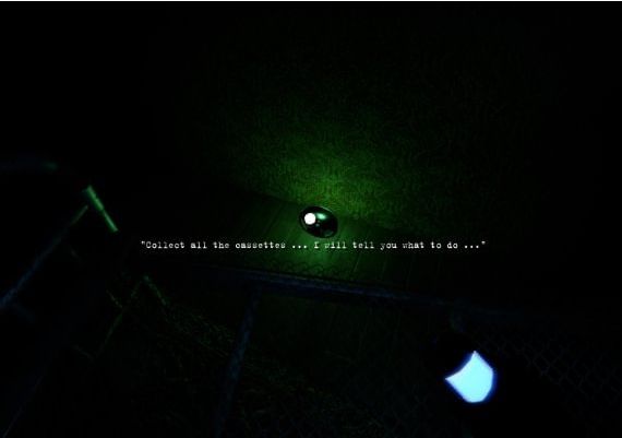 C15 EN/RU Global Steam Digital Key