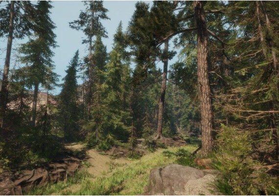 A Walk in the Woods VR EN Global Steam Digital Key