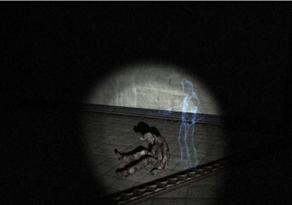 White Noise Online EN/ES Global Steam Digital Key