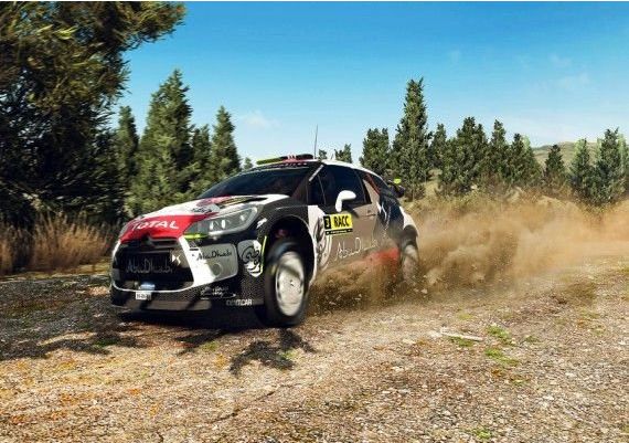 WRC 5 EN Global Steam Digital Key