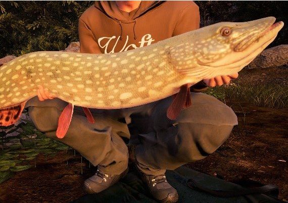 Fishing Sim World: Pro Tour - Jezioro Bestii DLC EN/DE/FR/PL/RU/ZH/ES Global Steam Digital Key