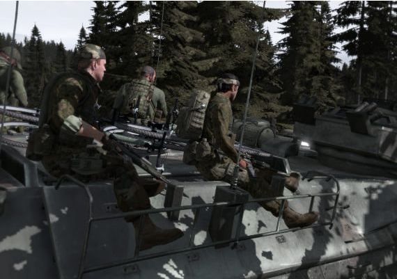 Arma X Anniversary Edition EN Global Steam Digital Key