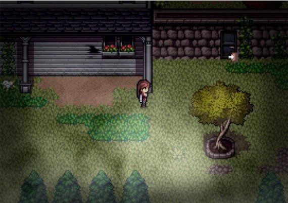 Derange EN/RU Global Steam Digital Key