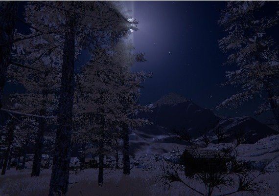 The Endless White EN/DE/FR/IT/ES Global Steam Digital Key