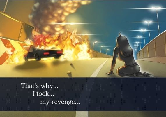 Phoenix Wright: Ace Attorney Trilogy EN/JA North America Steam Digital Key