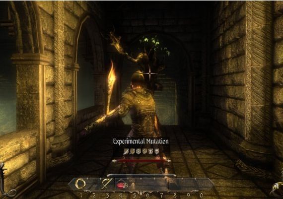 Two Worlds II: Echoes of the Dark Past 2 DLC EN Global Steam Digital Key