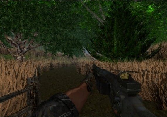 Dragon Storm EN Global Steam Digital Key