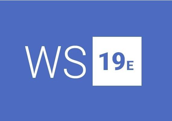 Windows Server 2019 Essentials EN Global MS Products Digital Key