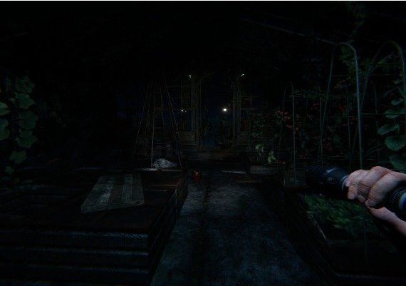 Fantome Global Steam Digital Key