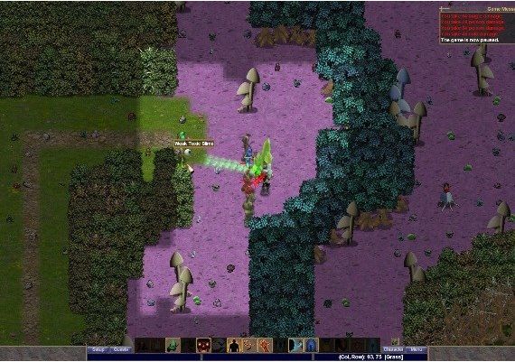 Birth of Shadows EN Global Steam Digital Key