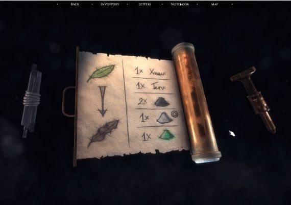 Quern: Undying Thoughts Global Steam Digital Key