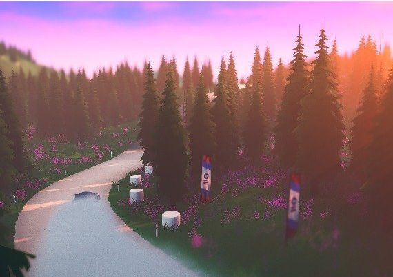 Art of Rally EN Global GOG Digital Key