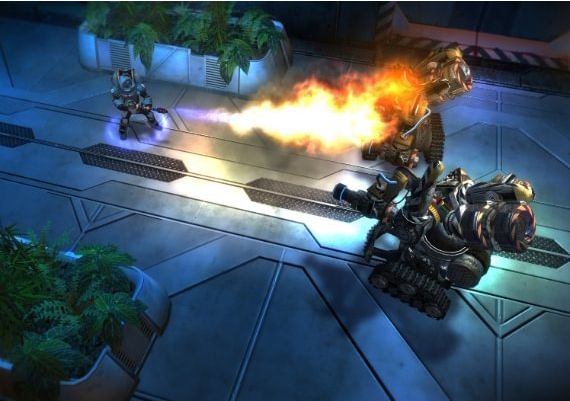 Greed: Black Border EN/DE Global Steam Digital Key