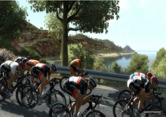 Pro Cycling Manager 2013 EN/DE/FR/IT Global Steam Digital Key