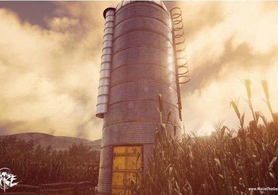 Maize EN Global Steam Digital Key