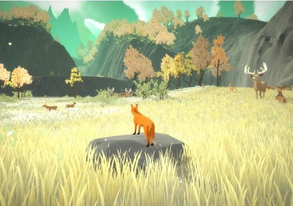 The First Tree Global Steam Digital Key