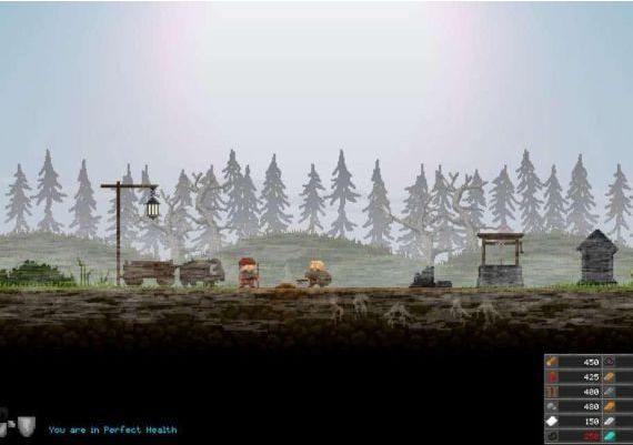 Regions of Ruin EN Global Steam Digital Key