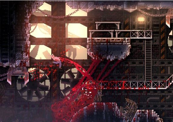 Carrion EN Global Steam Digital Key