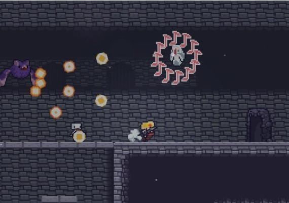 Dungreed EN/JA/KO/ZH/ZH Global Steam Digital Key