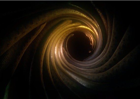 Ayahuasca VR EN/FR/KO/PT/ZH/ES Global Steam Digital Key