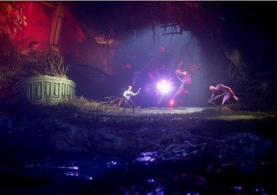 The Last Case of Benedict Fox EN/DE/FR/IT/PL/NL/PT/ES Global Steam Digital Key