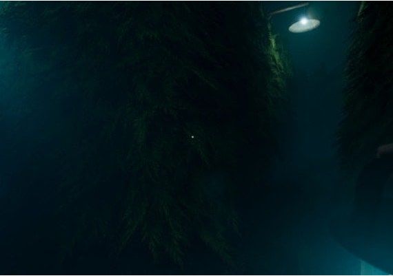 Labyrinthine EN/DE/FR/NL EU Steam Digital Key