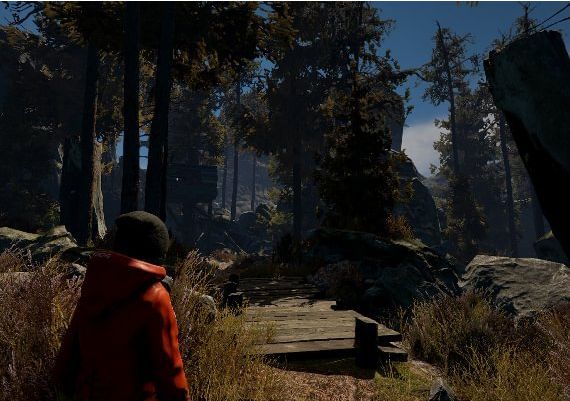 Through the Woods Collector's Edition EN/DE/FR/IT/NO/RU/ES Global Steam Digital Key