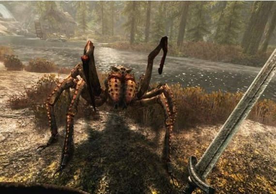 The Elder Scrolls V: Skyrim VR Global Steam Digital Key