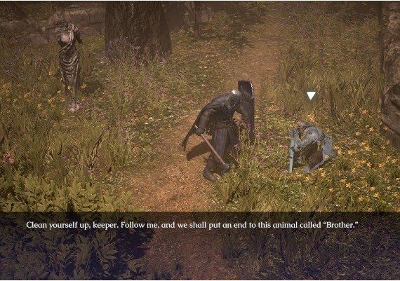 Animus: Revenant EN EU Xbox One/Series Digital Key