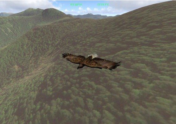 Aquila Bird Flight Simulator EN Global Steam Digital Key