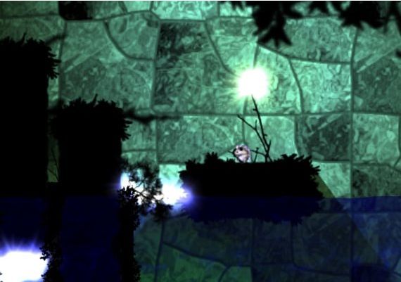 Grimind EN/PL Global Steam Digital Key