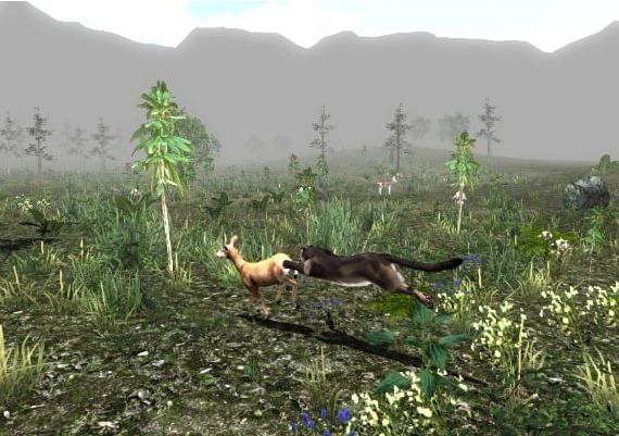 Untamed: Life Of A Cougar EN/FR/PT Global Steam Digital Key